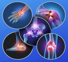 Ortho (Orthopaedics)